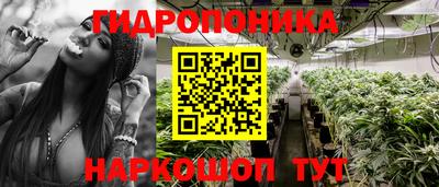 spice Тула