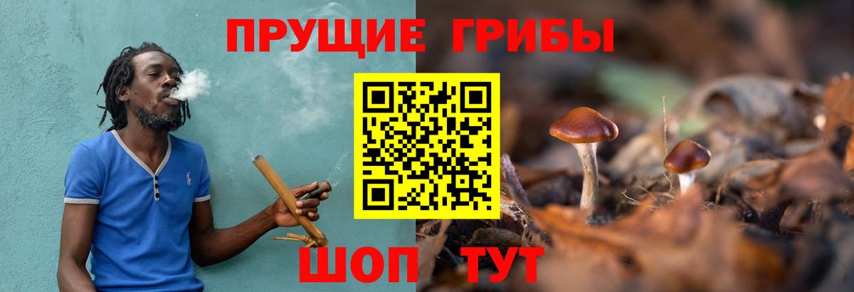 Галлюциногенные грибы GOLDEN TEACHER  Вход с VPN  Мелеуз 